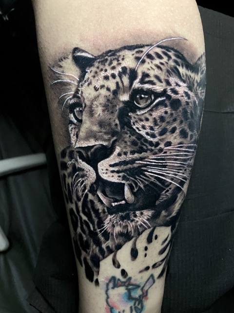 Black and gray realism leopard tattoo by a Grade A Tattoos artist in Fort Wayne