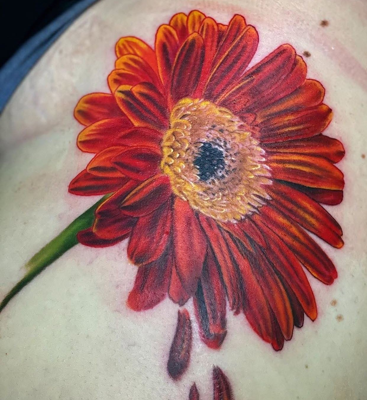 Color work by Grade A Artists